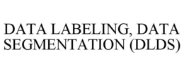 DATA LABELING, DATA SEGMENTATION (DLDS) trademark