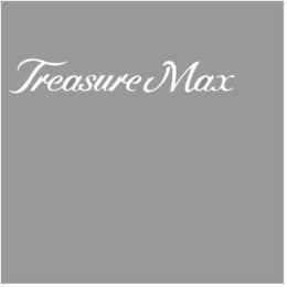 TREASURE MAX trademark