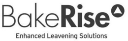 BAKERISE ENHANCED LEAVENING SOLUTIONS trademark