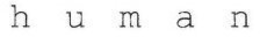 H U M A N trademark