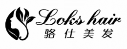 LOKS HAIR trademark