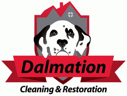 DALMATION CLEANING & RESTORATION trademark