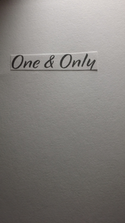 ONE & ONLY trademark