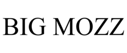 BIG MOZZ trademark