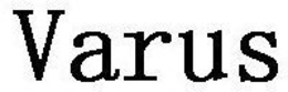 VARUS trademark