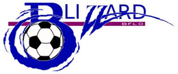 BLIZZARD BFLO trademark