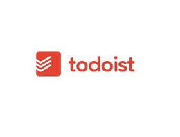 TODOIST trademark