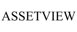 ASSETVIEW trademark