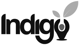 INDIGO trademark