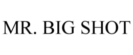 MR. BIG SHOT trademark