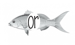 OR trademark