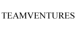 TEAMVENTURES trademark