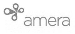 AMERA trademark