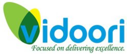 VIDOORI FOCUSED ON DELIVERING EXCELLENCE. trademark