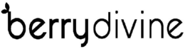 BERRYDIVINE trademark
