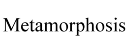 METAMORPHOSIS trademark