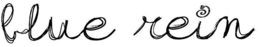 BLUE REIN trademark