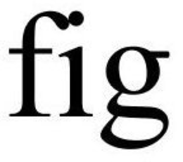 FIG trademark