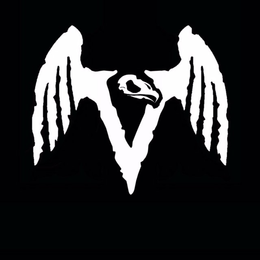 V trademark