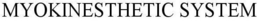 MYOKINESTHETIC SYSTEM trademark