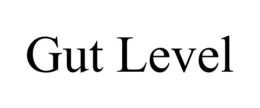 GUT LEVEL trademark