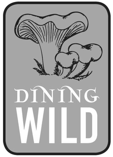 DINING WILD trademark