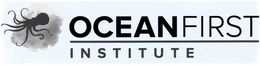OCEAN FIRSTINSTITUTE trademark