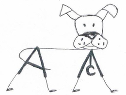 AMC trademark