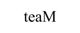 TEAM trademark