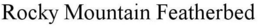ROCKY MOUNTAIN FEATHERBED trademark