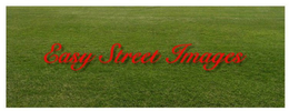 EASY STREET IMAGES trademark