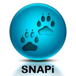 SNAPI trademark