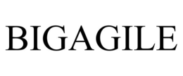 BIGAGILE trademark