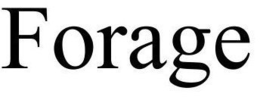 FORAGE trademark