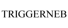 TRIGGERNEB trademark