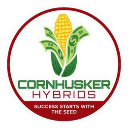 CORNHUSKER HYBRIDS SUCCESS STARTS WITH THE SEED trademark