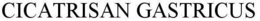 CICATRISAN GASTRICUS trademark