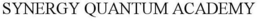 SYNERGY QUANTUM ACADEMY trademark