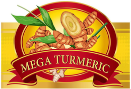 MEGA TURMERIC trademark