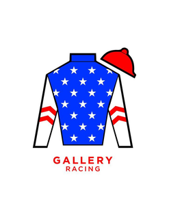 GALLERY RACING trademark