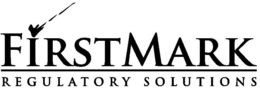 FIRSTMARK REGULATORY SOLUTIONS trademark