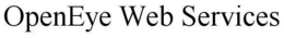 OPENEYE WEB SERVICES trademark