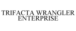 TRIFACTA WRANGLER ENTERPRISE trademark