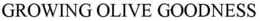 GROWING OLIVE GOODNESS trademark