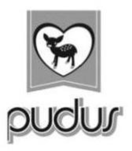 PUDUS trademark