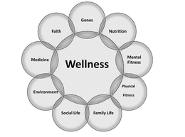 WELLNESS GENES NUTRITION MENTAL FITNESS PHYSICAL FITNESS FAMILY LIFE SOCIAL LIFE ENVIRONMENT MEDICINE FAITH trademark