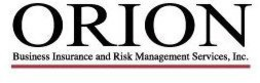 ORION BUSINESS INSURANCE AND RISK MANAGEMENT SERVICES, INC. trademark
