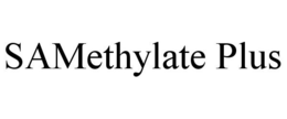SAMETHYLATE PLUS trademark