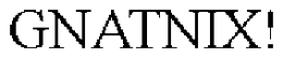 GNATNIX! trademark