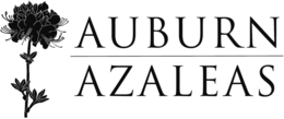 AUBURN AZALEAS trademark